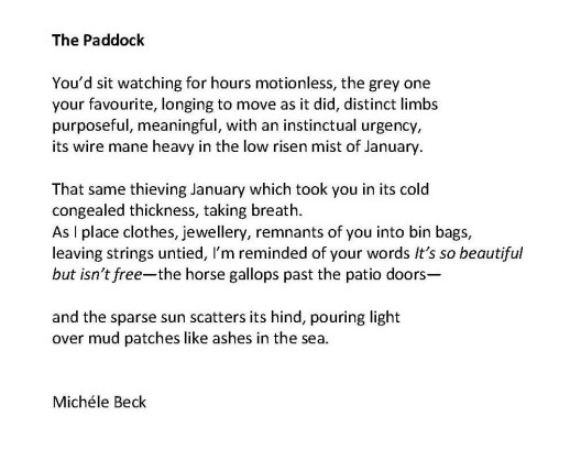The Paddock Michéle Beck